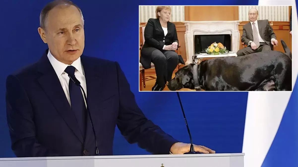 Putin’den Merkel’e 17 yıl sonra “köpek özrü” geldi